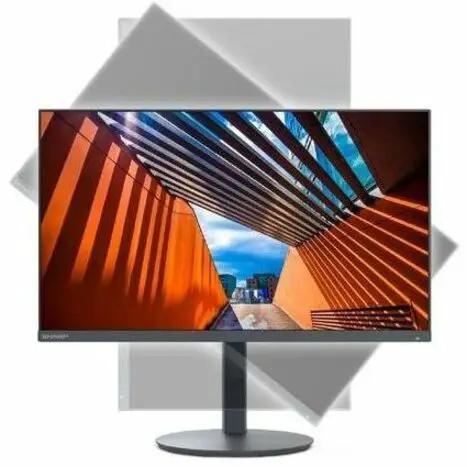 Sharp MultiSync DD-E244FL 24-inch LED monitor, black, Full HD 1920x1080