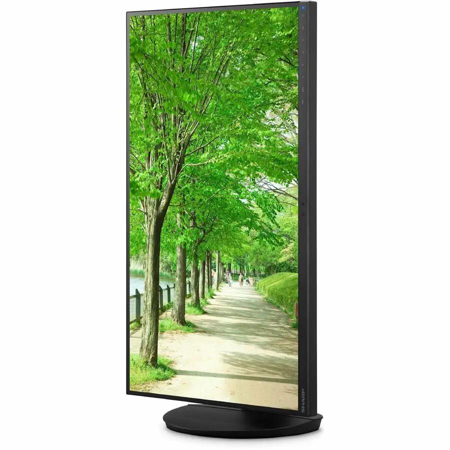 Sharp MultiSync DD-EA242W 24-inch WUXGA IPS monitor on a round black stand