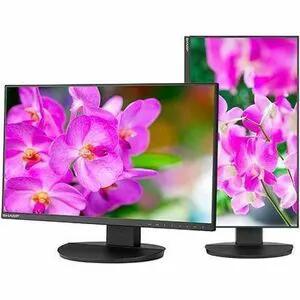 2 Sharp MultiSync EA241F 24-inch IPS monitors in black