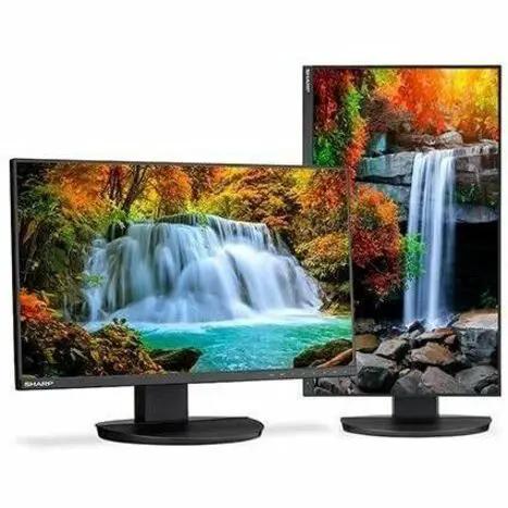 Sharp MultiSync DD-EA242F 24-inch IPS monitor pair in black