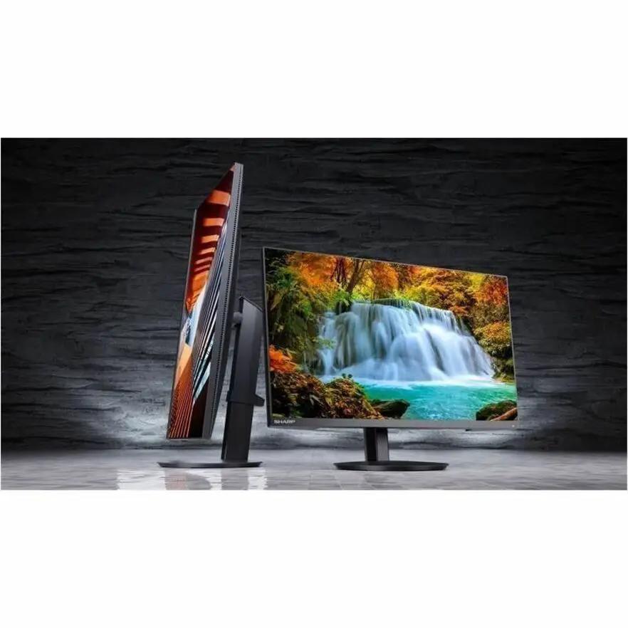 Sharp MultiSync DD-E224F 22-inch full HD LED monitor, black, 16:9 widescreen on a sturdy stand for desktop use