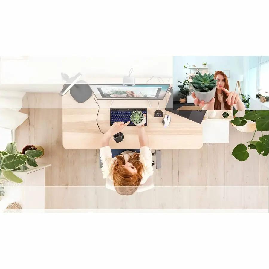 Elgato FaceCam MK.2 webcam on a light wood desk with keyboard, monitor, and plants.