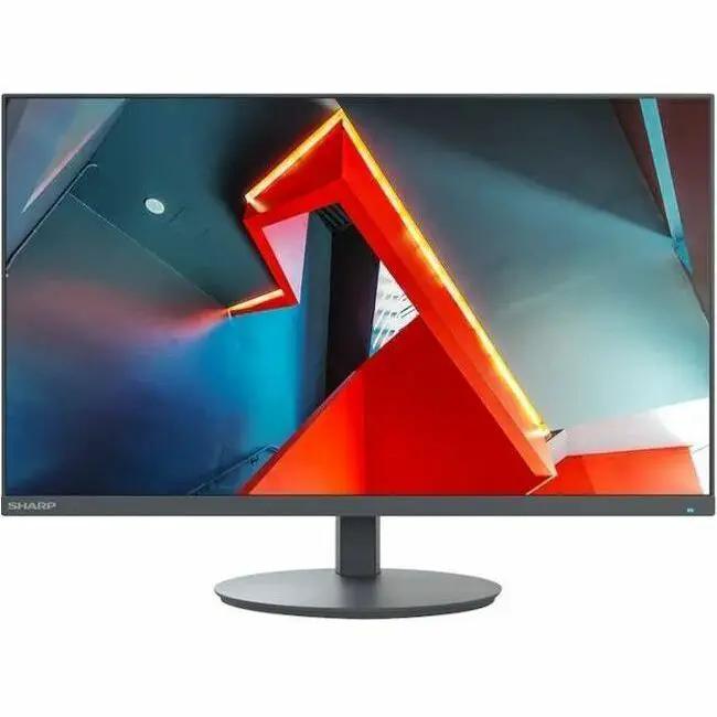 Sharp MultiSync DD-E244FL 24-inch LED monitor, black