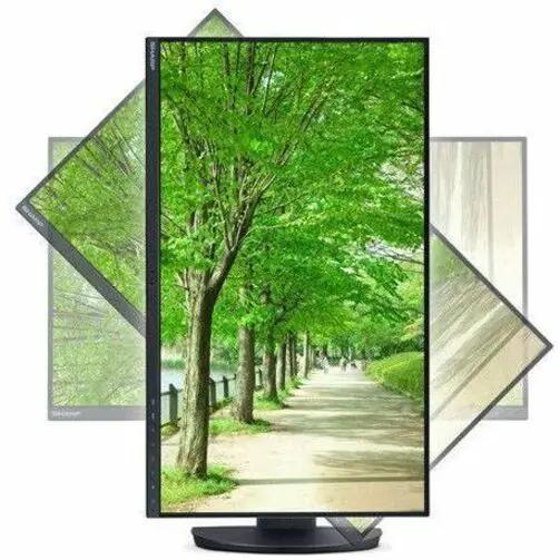 Sharp MultiSync DD-EA242W 24-inch WUXGA IPS monitor, black