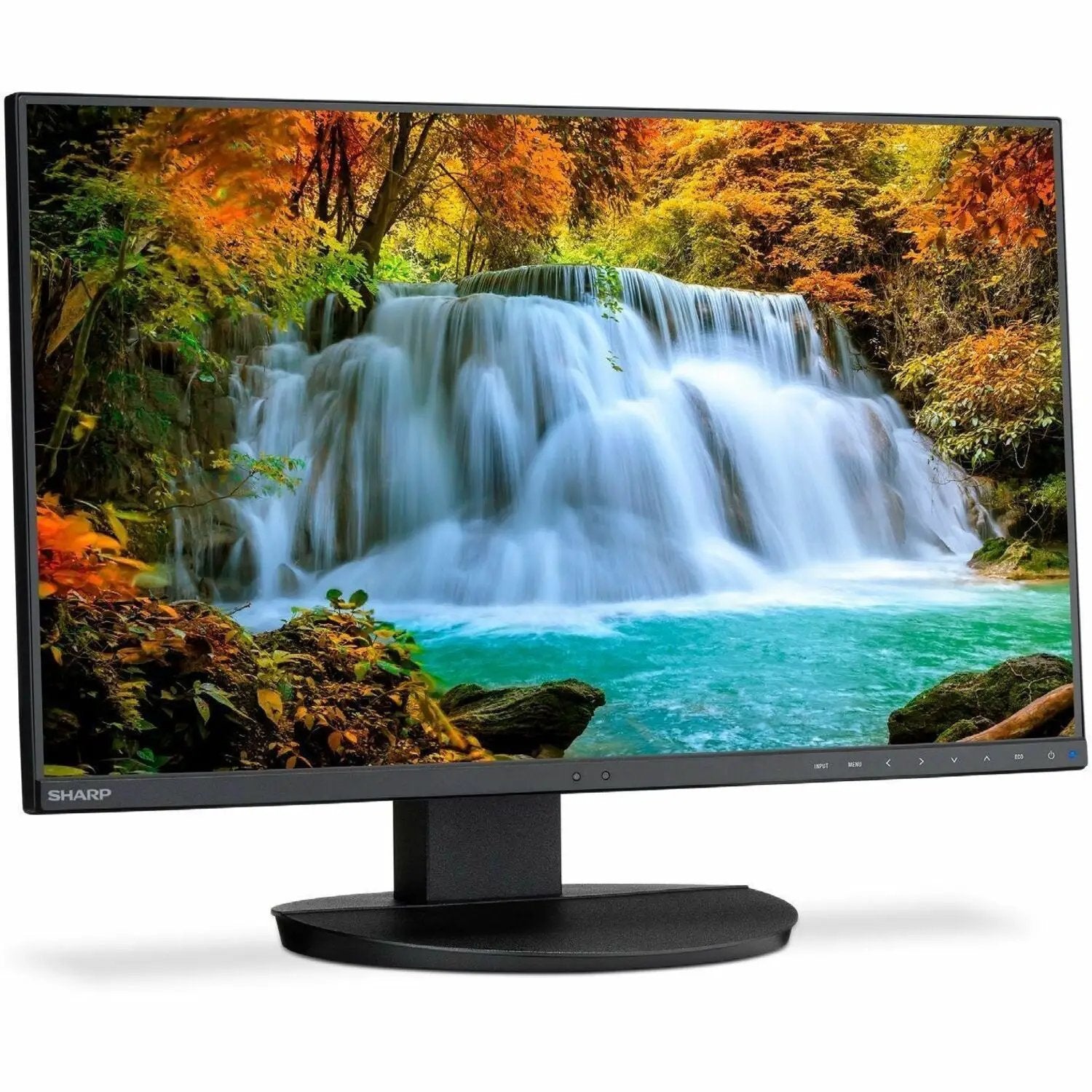 Sharp MultiSync DD-EA242F 24-inch IPS monitor, black, 1080p Full HD
