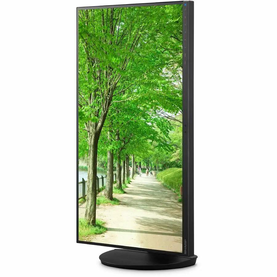 Sharp MultiSync DD-EA242F 24-inch IPS monitor, black with circular pedestal stand